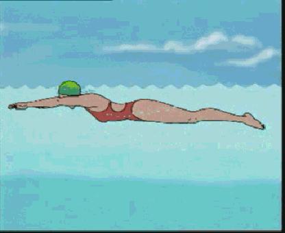 游泳初学者必看各种泳姿,游泳最简单最容易学的是哪个泳姿