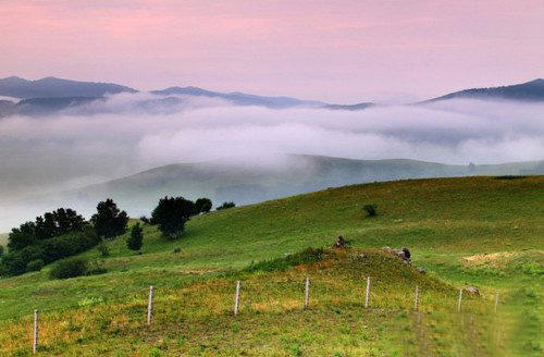 梦中仙境雾气,雾气淡怎么拍出来