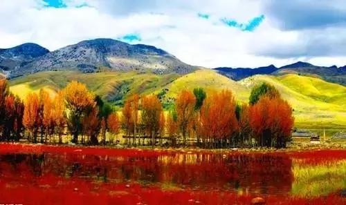 六月我们一起去旅行,九月带你去旅行