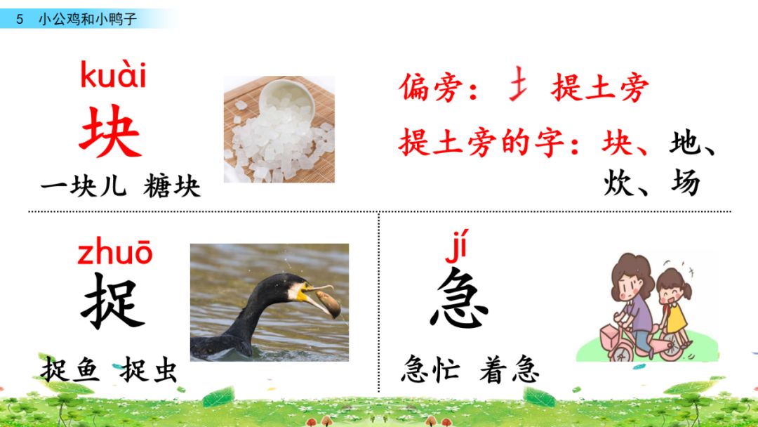 小公鸡和小鸭子一年级下册视频,一年级下语文小公鸡和小鸭子讲解