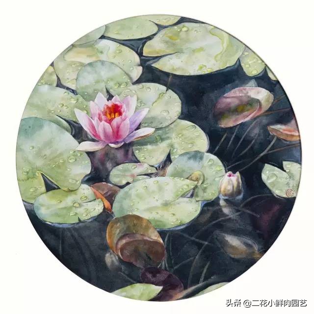 100种花卉绘画,100多张花卉线描手稿素材赶快收藏