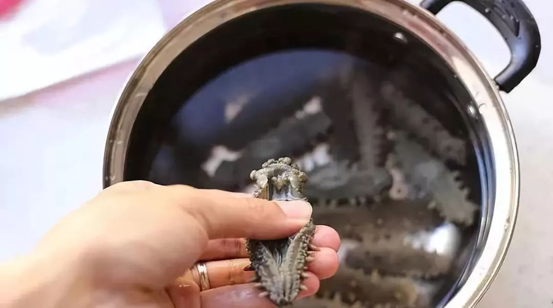 海参泡发过程中营养价值会流失吗,简单的海参泡发的正确方法