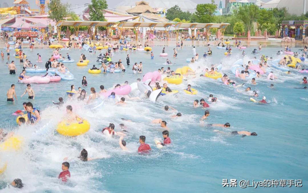 什么款式的泳衣显高级好看,什么款式的泳衣显高级感