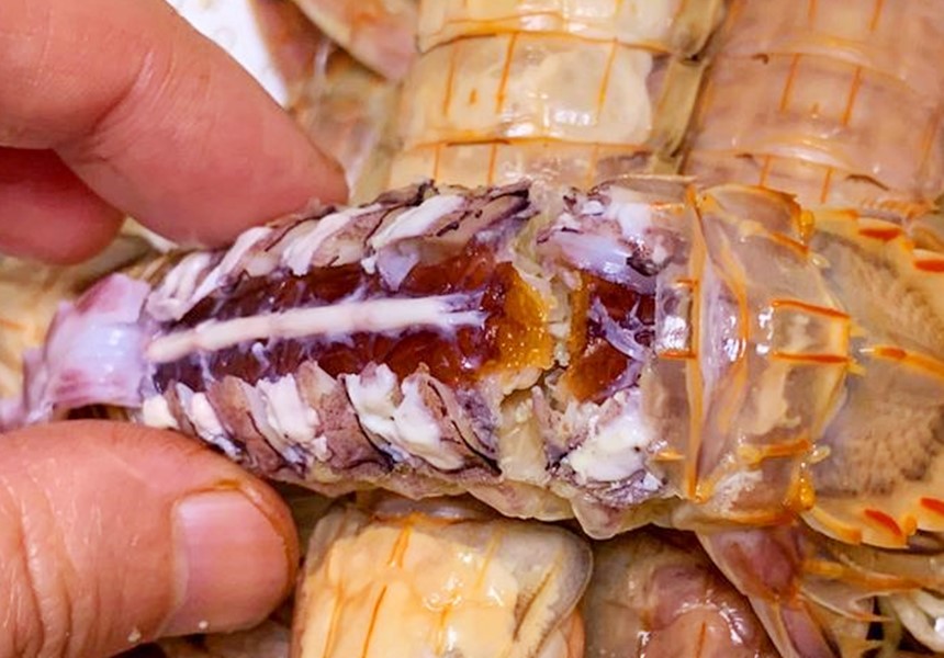 老渔民：吃皮皮虾时，找到这个“拉链”，一拉就脱壳，5秒剥一个