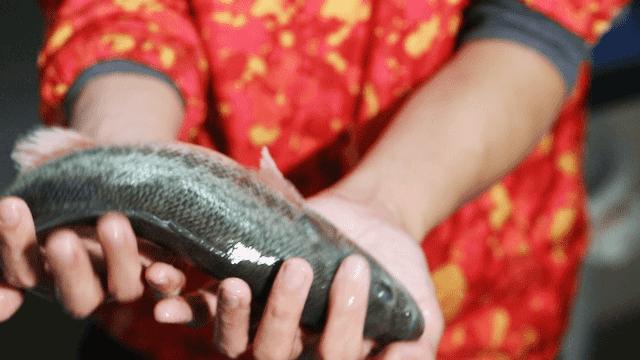 别再说禄鼎记变了，它只是“骚”出花样了