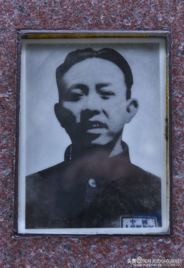 济南秋天的法国梧桐,济南一颗梧桐树