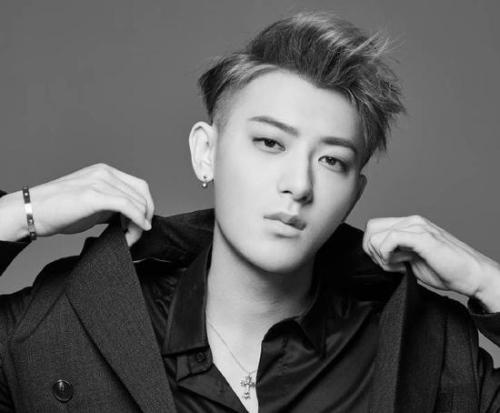 移动互联网时代的偶像工业，偶像的重新发明与粉丝身份的虚拟转向