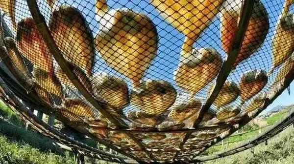 这就是福建,罗源一个正在崛起的城市