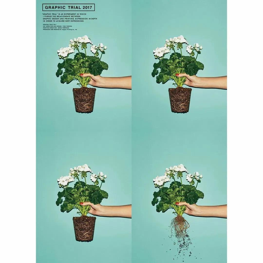 美女设计师意式极奢风格,日本设计师的大胆创意