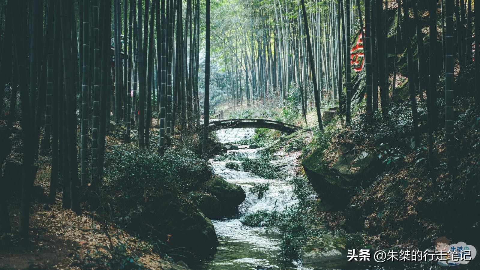 万亩竹海风景区,竹海生态旅游景区免门票