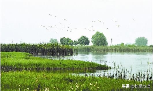 武汉后官湖公园地图,武汉后官湖国家公园