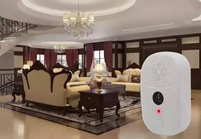 床上有螨虫放什么东西能除螨,床上螨虫和细菌最怕什么