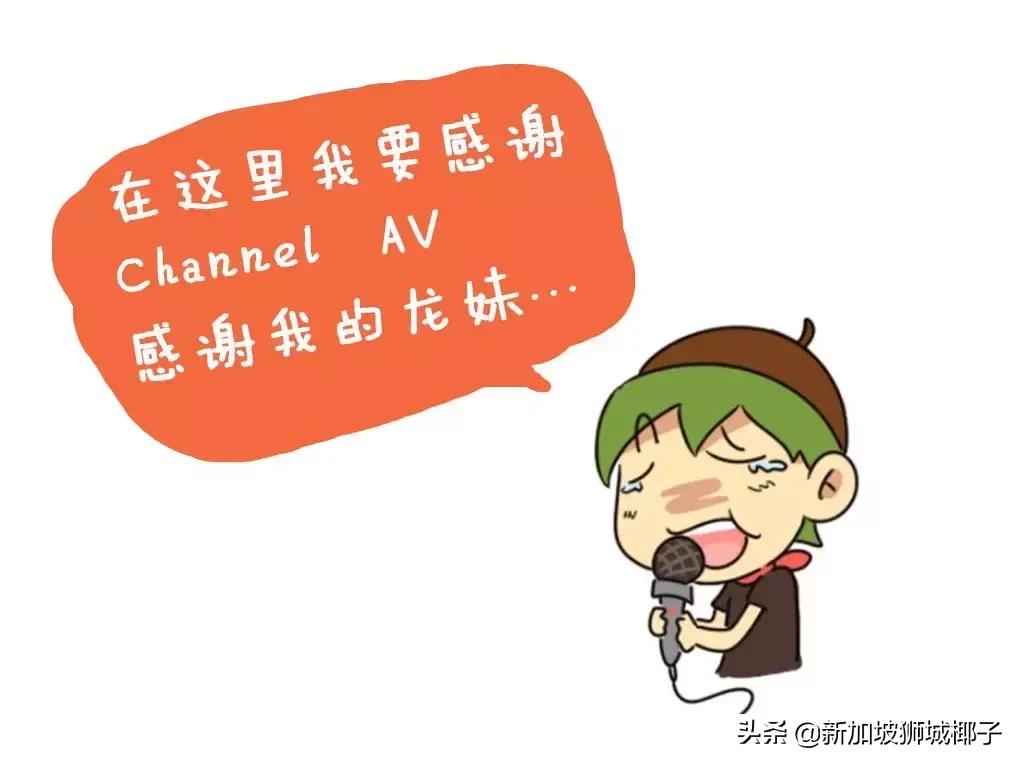 新加坡最贵的东西是什么,什么东西新加坡很便宜中国很贵