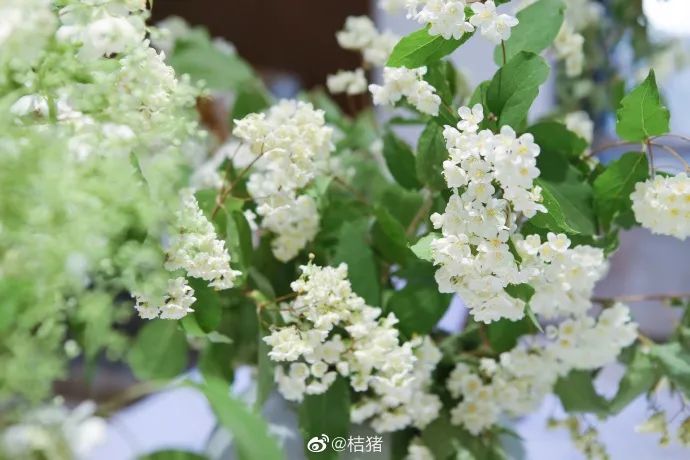 七夕仲夏夜|星空晚宴×丹青情书×入梦山水……雾灵山居C位浪漫