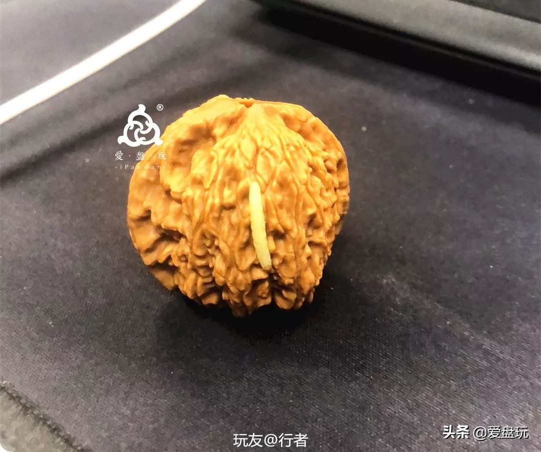 手串里有小白虫是什么虫子,手串上的虫子是哪来的