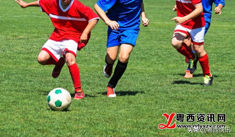 中冠茂名队,中冠联赛成绩
