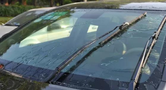 汽车保养小知识春季养车小技巧,春季汽车养护七大注意