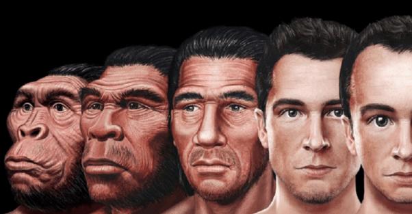 狗交配为什么要闭锁半小时？人类为什么没有进化出这种方式？