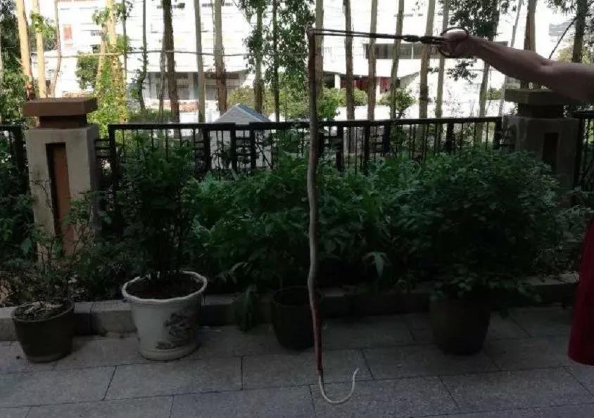 警惕蛇出没已有人被咬,在小区里被毒蛇咬伤小区有责任么