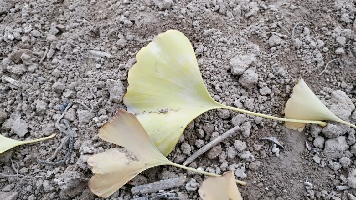 没有所有的感同身受只有冷暖自知,这个世界从来没有真正感同身受