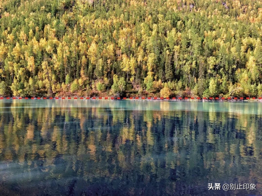 手机摄影构图大全公众号,手机摄影构图取景技巧