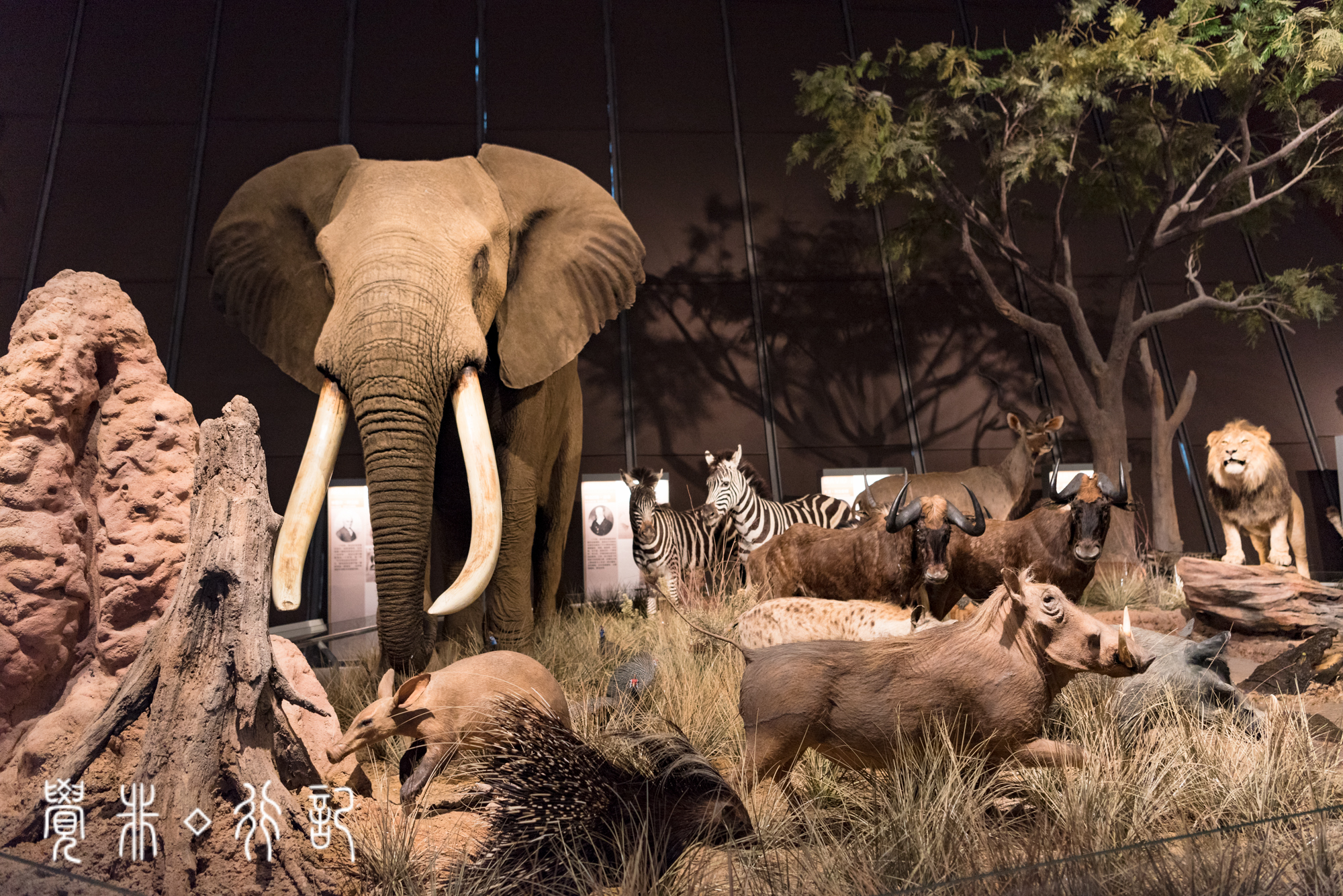 国家海洋博物馆又被称为海上故宫,天津国家海洋博物馆预约电话