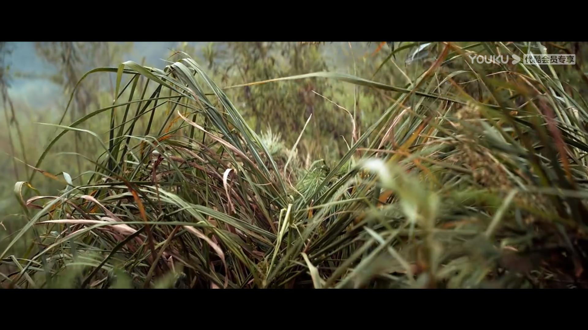 明基爱普生优派投影仪,优派明基爱普生投影仪