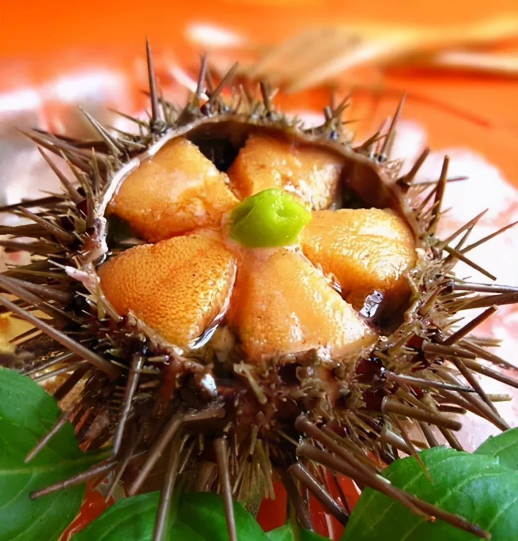 到底是海星吃海胆还是海胆吃海星,是海星吃海胆还是海胆吃海星