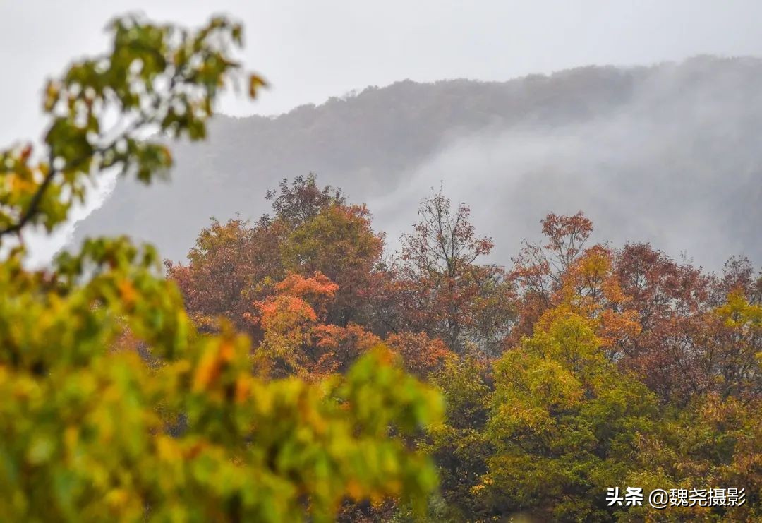 留坝秦岭之夜,留坝秦岭森林公园
