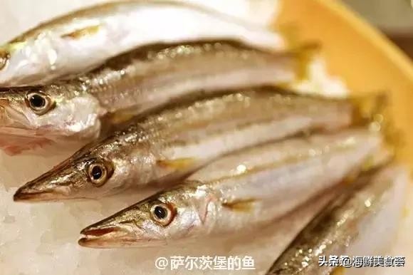 32种经典寿司做法视频,寿司常用的鱼