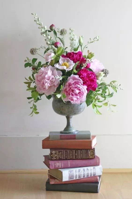 教你怎么学插花,小白零基础怎么学插花