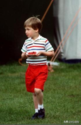 英国王室小王子公主是如何养成的,英国王室对王妃的要求