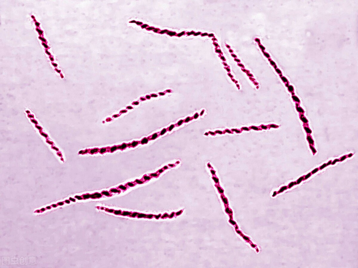 小伙被感染梅毒,感染梅毒胸口会不会不舒服