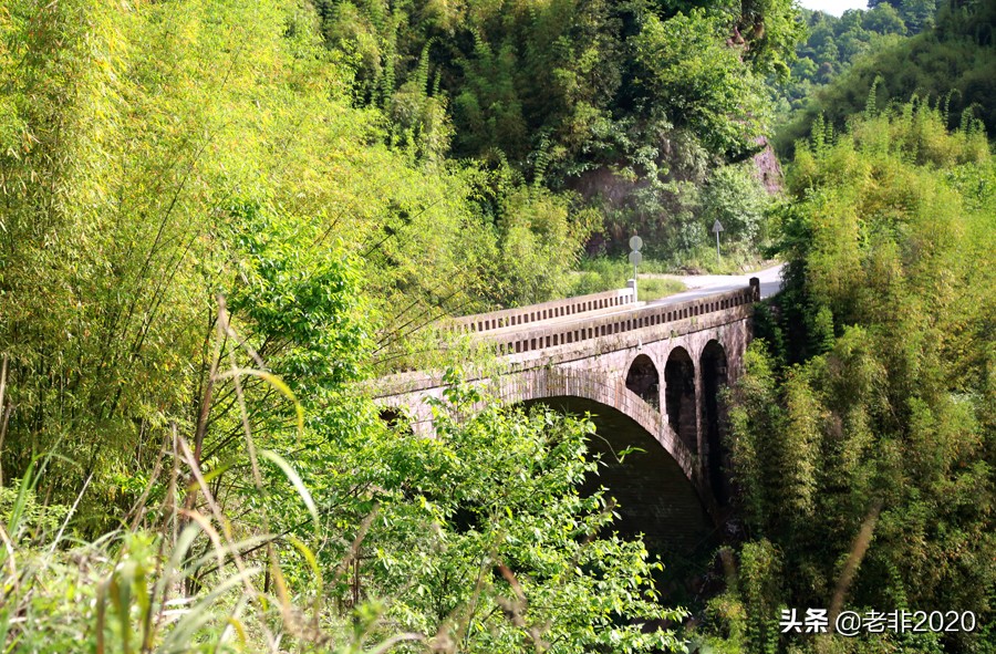 全球第一立佛是谁,世界第一立佛在哪里