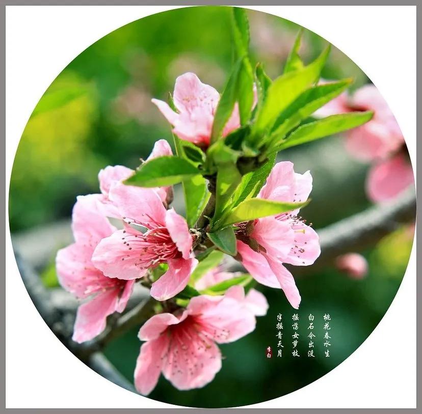 吃臭身体会变臭？吃香味食物身体就会变香？谈谈食物对体味的影响