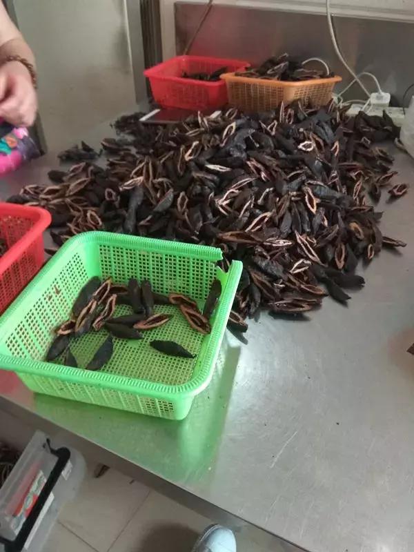 官方叫停槟榔广告,槟榔上瘾宣传