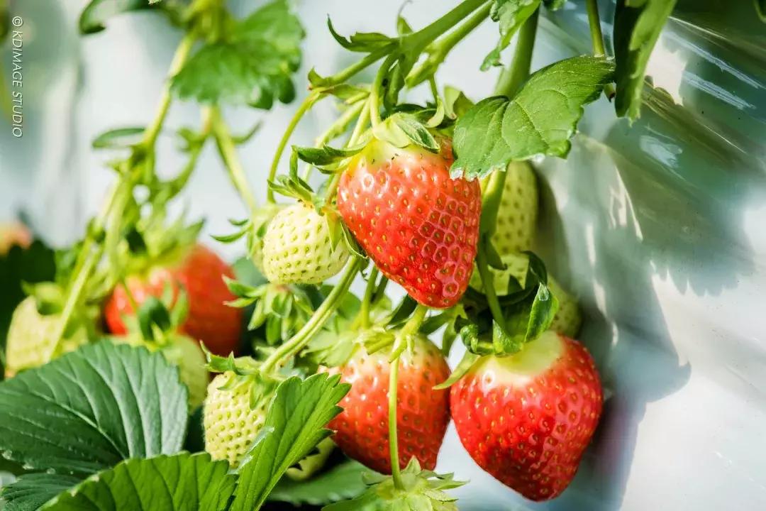 想在韩国发现美翻了的小众去处?这份详细旅行清单绝对不可错过