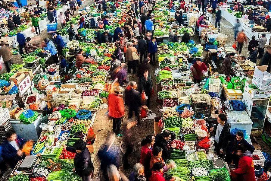 农业概况,中国农业基本现状