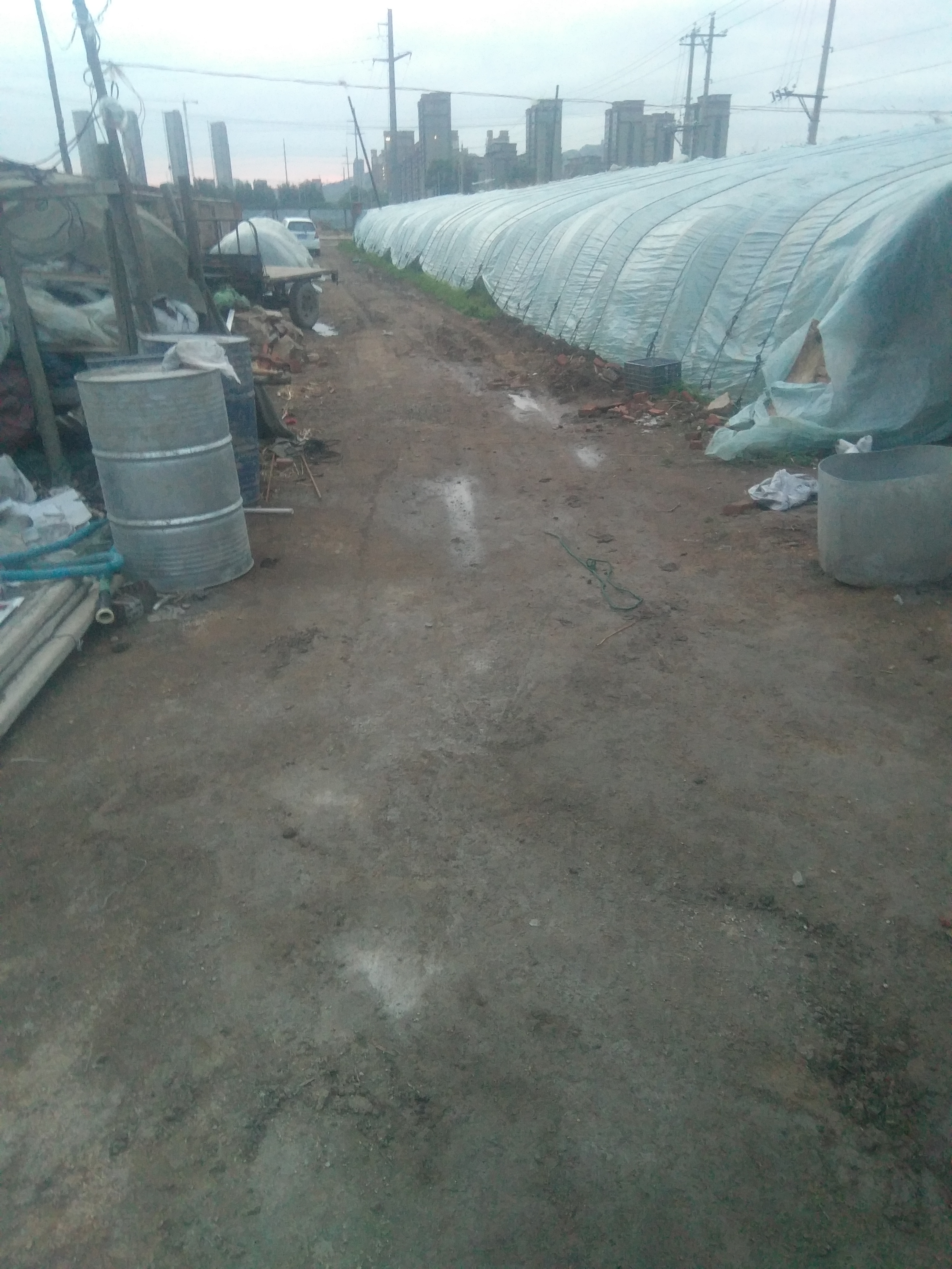 閭婚噷灏忎簨寮曞彂鍚垫灦閭诲眳浜嬪悗姝讳骸,閭婚噷涔嬮棿鍥犺鍚靛紩鍙戠殑妗堜欢