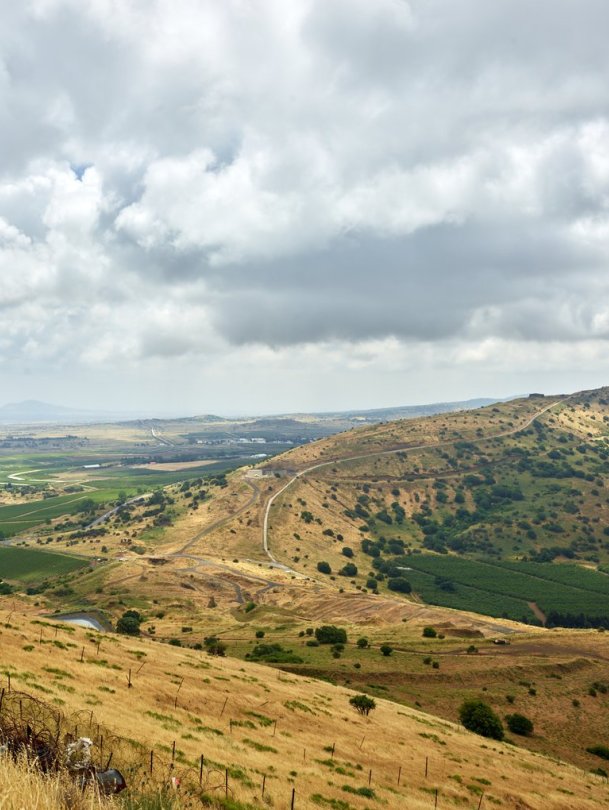 以色列最著名的葡萄酒产区,世界上最古老的葡萄酒产区国家