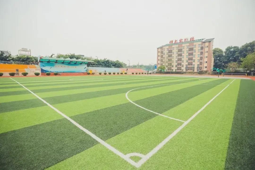 师大实外国际部,师大实外简介