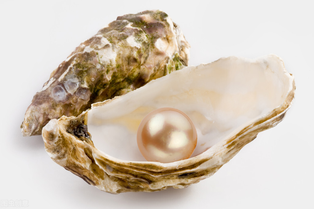 珍珠项链推荐单颗珍珠,珍珠项链品种推荐