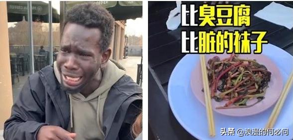 中国饮食的十大境界,饮食的最高境界是营养