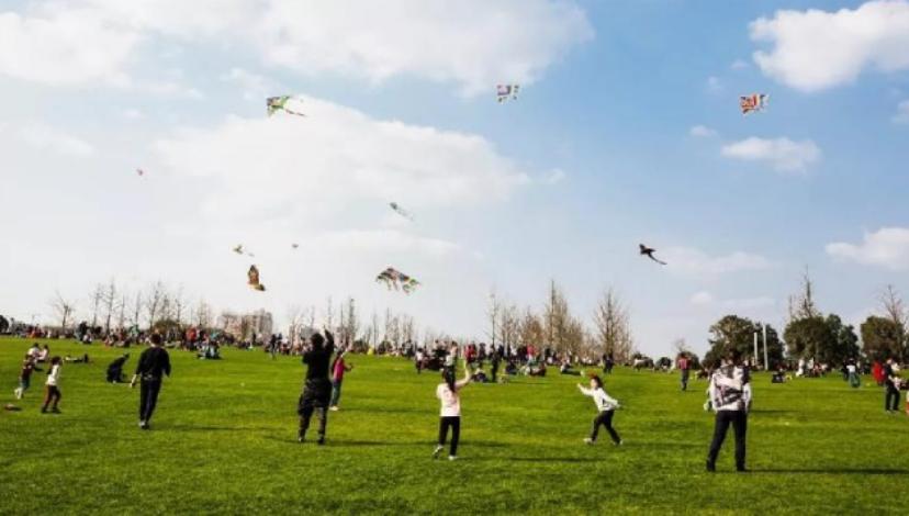 渝北空港,渝北区空港新区