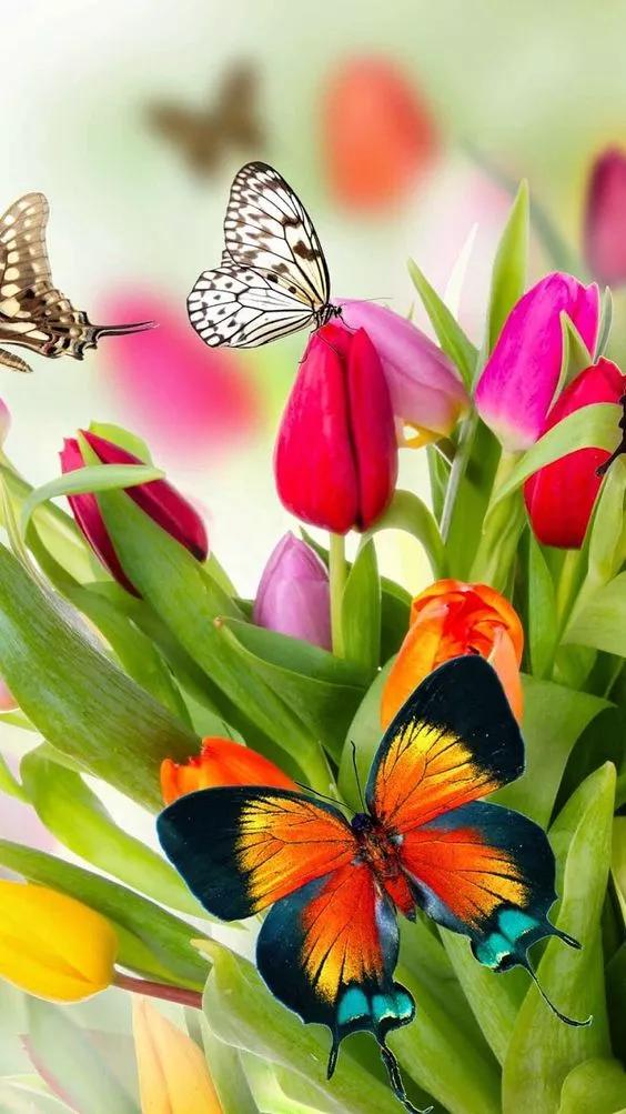 100个惊艳的美人盘点,中国最美的50个美人