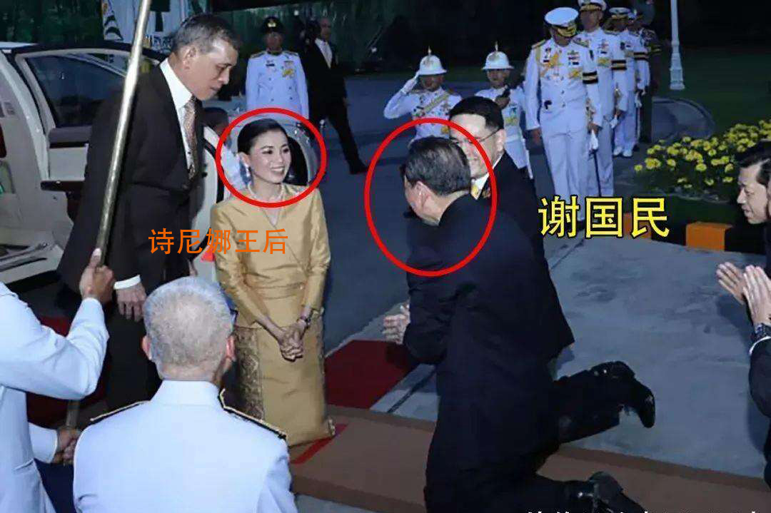 谢国民与国内关系,谢国民正大集团