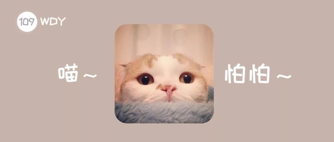 猫咪身上寄生虫怎么处理,猫咪身上的寄生虫怎么处理