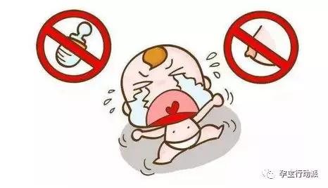 鹦鹉厌奶期如何度过,靠迷糊奶度过厌奶期