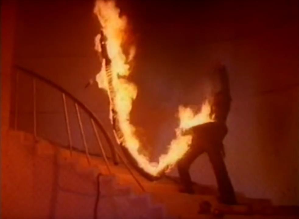 真蛇大战真实视频,拍人蛇大战用的是真蛇吗