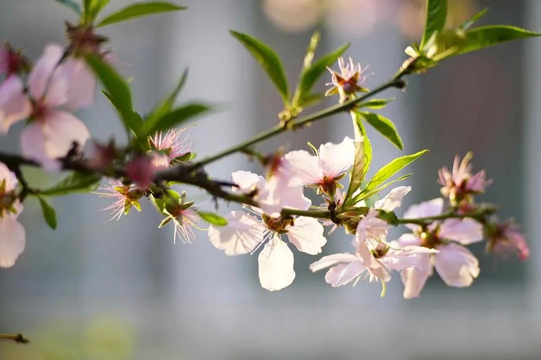 交作业啦！转接环大作战，战果展示第一章